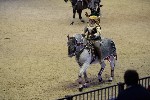 Quadrille - 00799